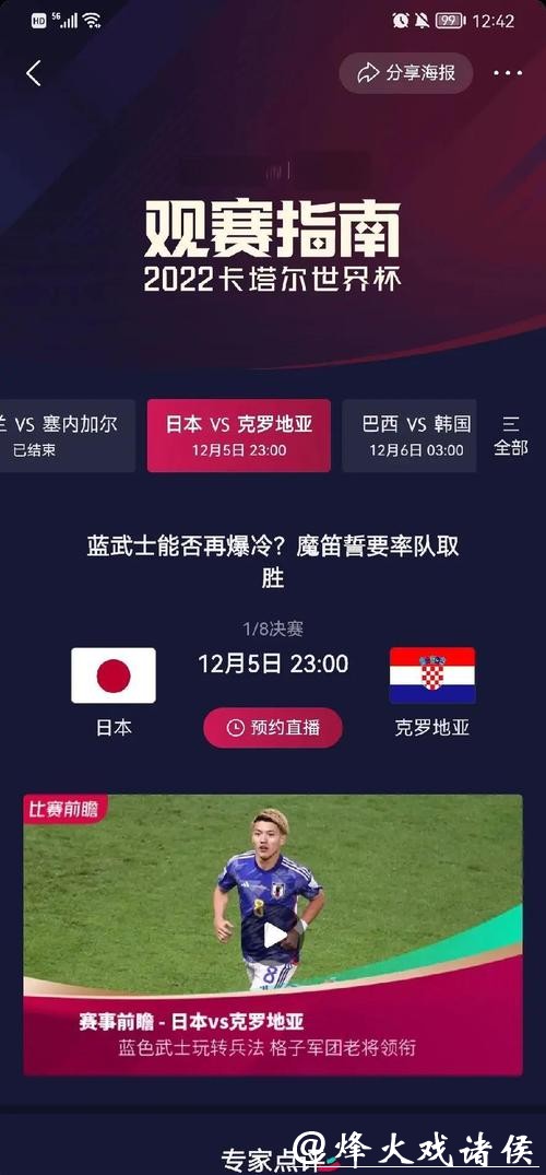 全面分析世界杯比赛数据与详细记录